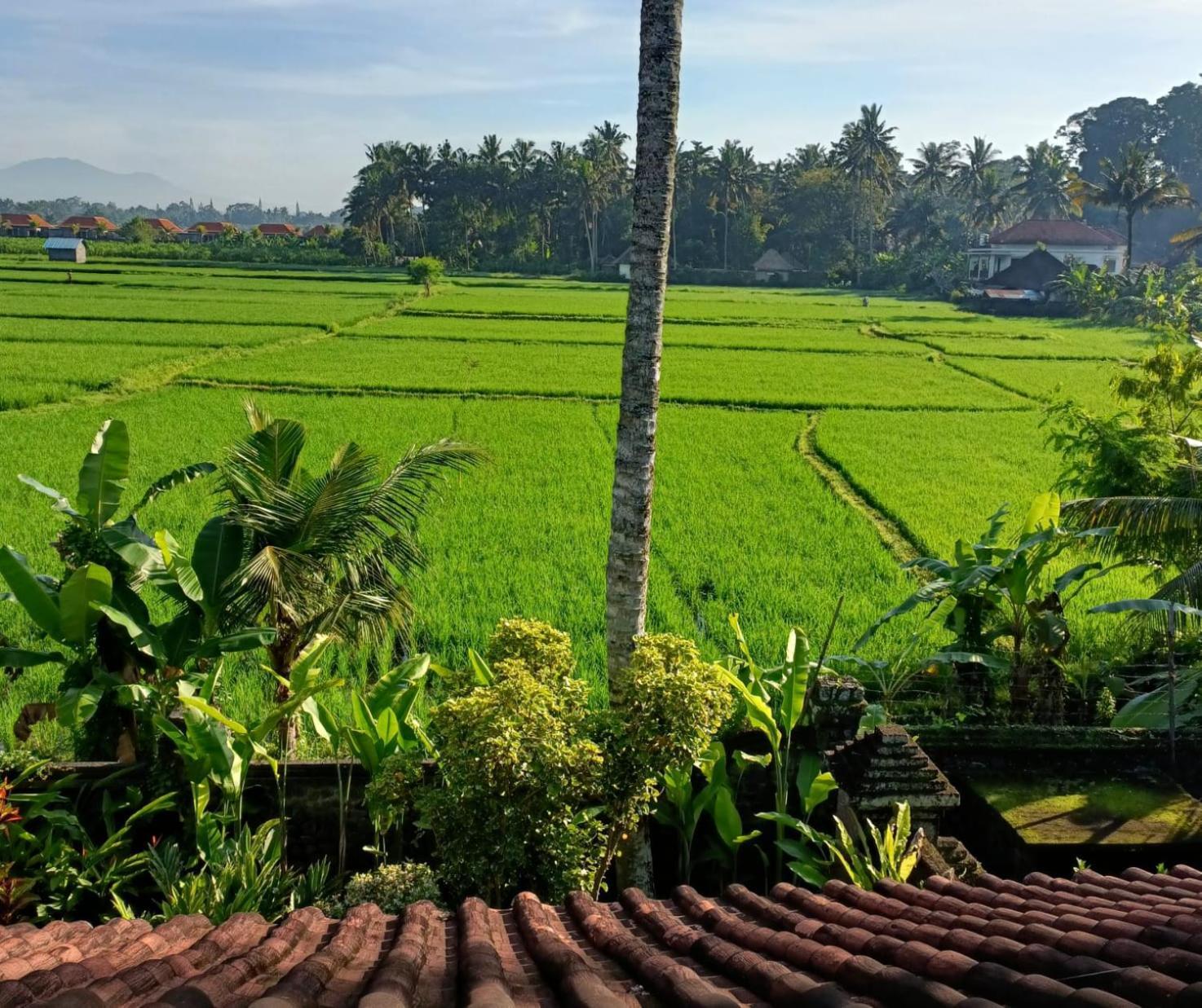 Runa House Of Design Ubud Eksteriør billede